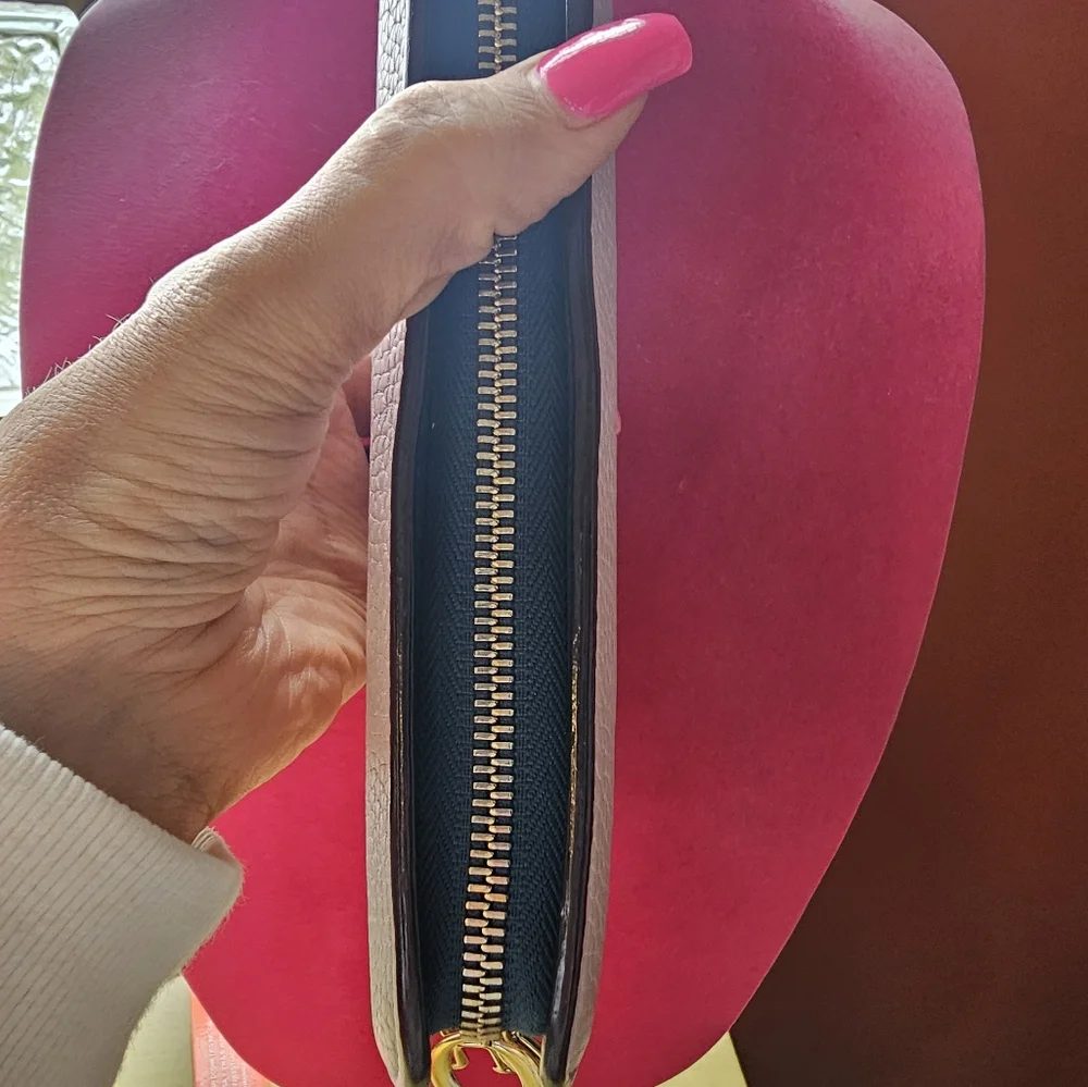 Euc Dior Long Wallet